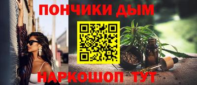 индика Ирбит