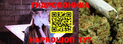 a pvp Заволжье
