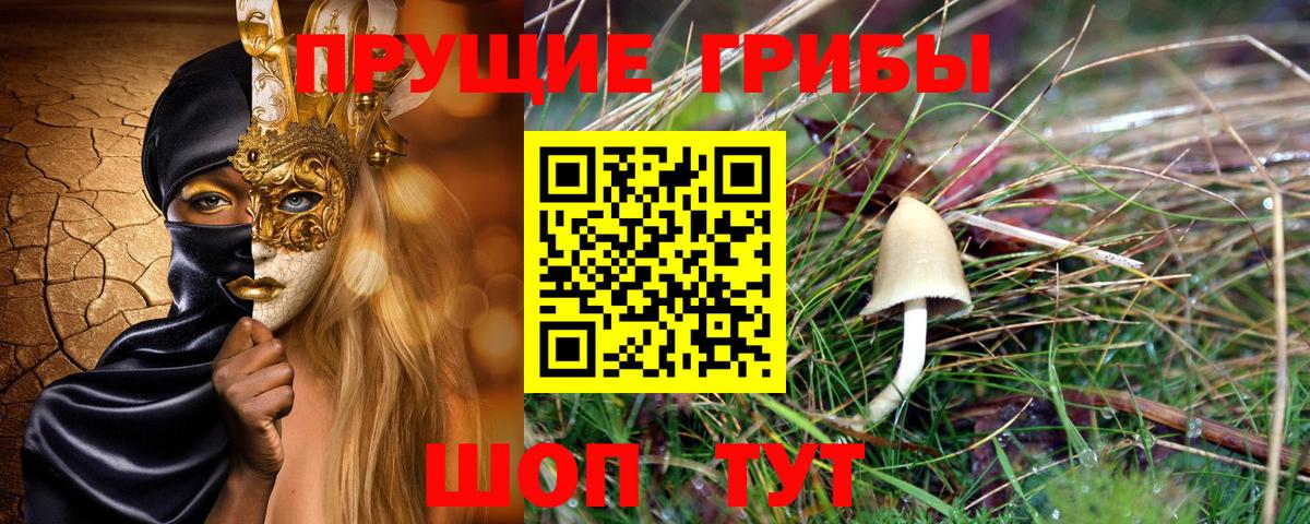 Псилоцибиновые грибы мицелий  Вход с VPN  Гай  Псилоцибиновые грибы прущие грибы 